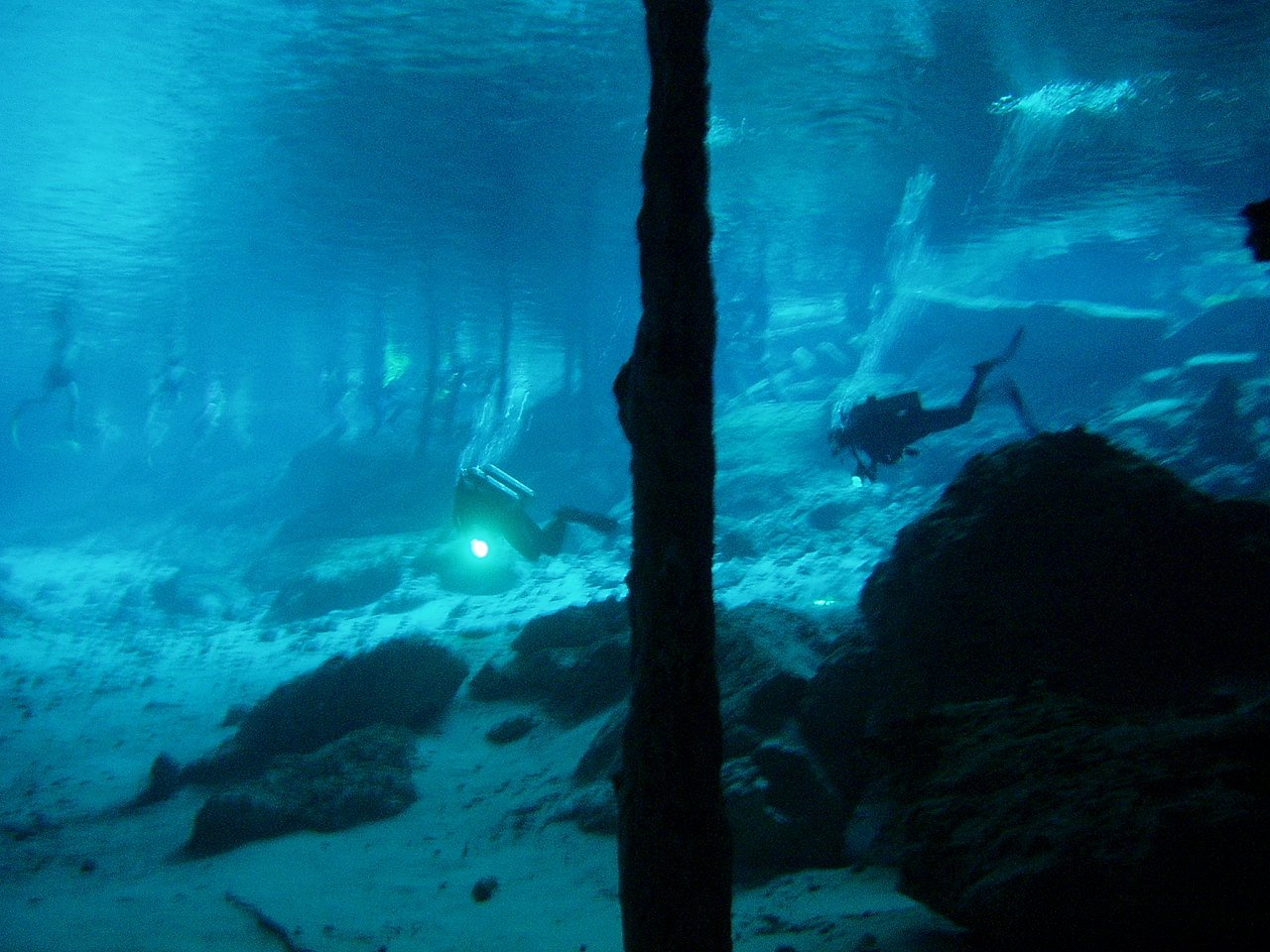 divers underwater using strobe lights